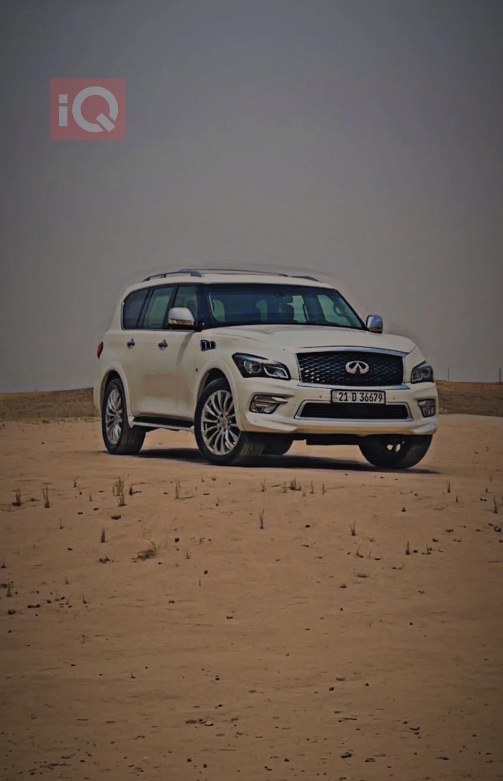 ئينفنتي QX80
